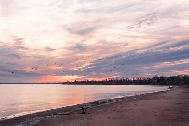 Seacliff Park Amphitheatre