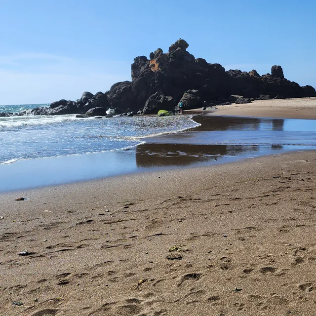 Fogarty Creek State Recreation Area