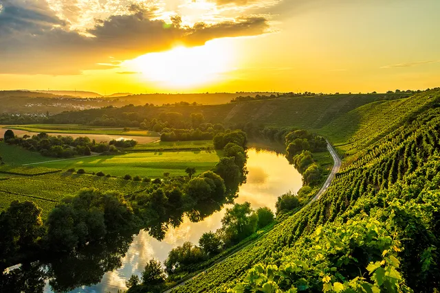 Felsengartenkellerei Besigheim eG