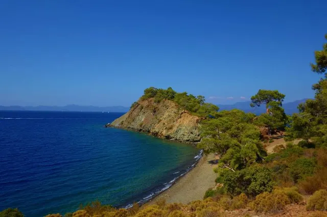 Küçük boncuklu Koyu