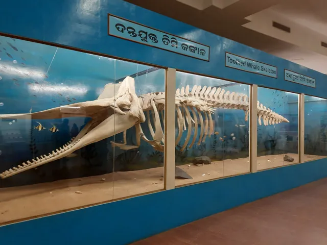 Regional Museum of Natural History