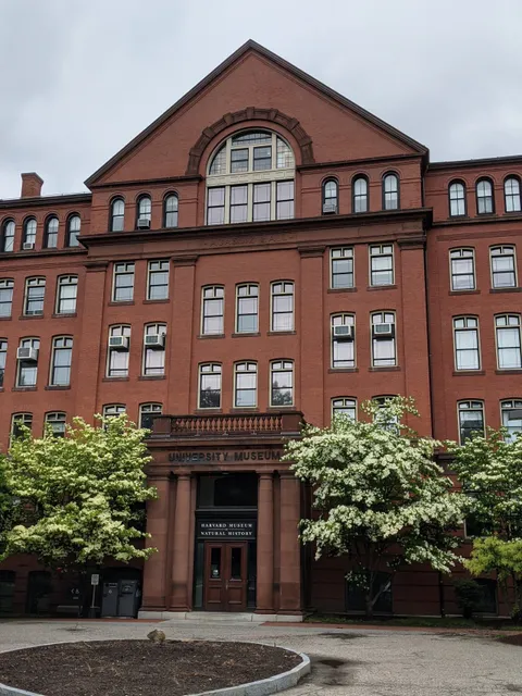 Museum of Comparative Zoology