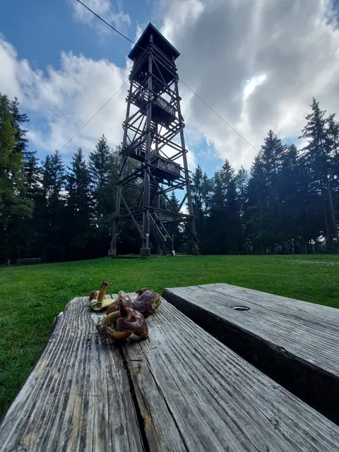 Salzkopfturm Franz Roos