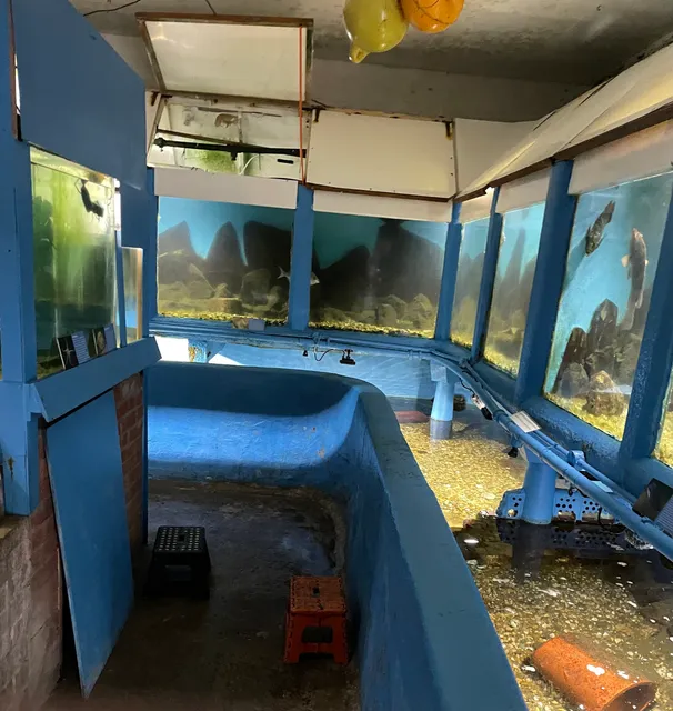 Fowey Aquarium