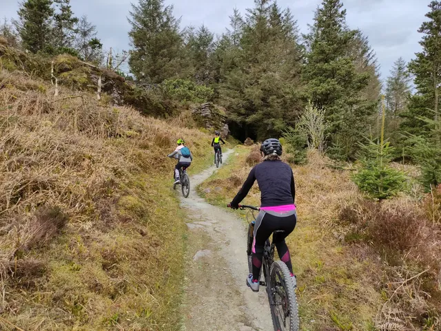 Ballyhoura Mountain Bike Trails