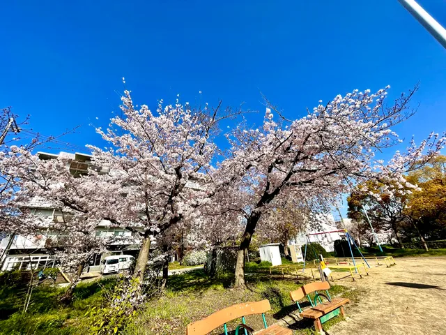 Kitakagaya Park