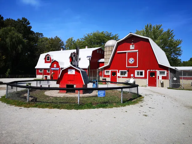 Children's Animal Farm