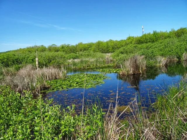The Arkutino Reserve