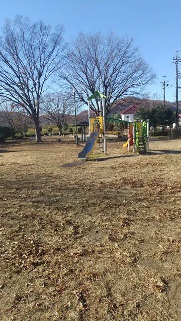 Omata Park