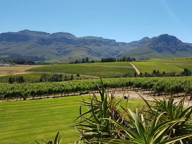 Haskell Vineyards - Dombeya Wines