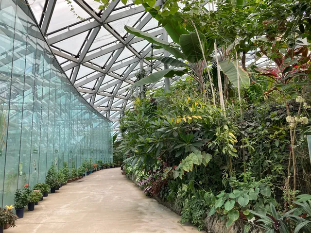 Greenhouse, Shinjuku Gyoen National Garden