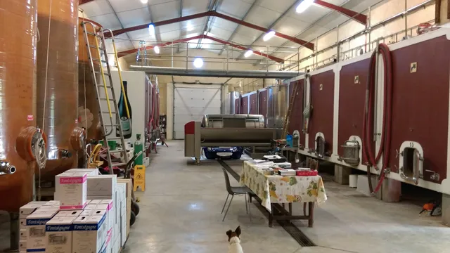 Cave Du Chateau De Fontsegugne