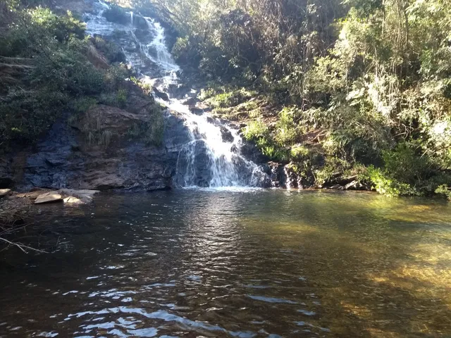 photo-3