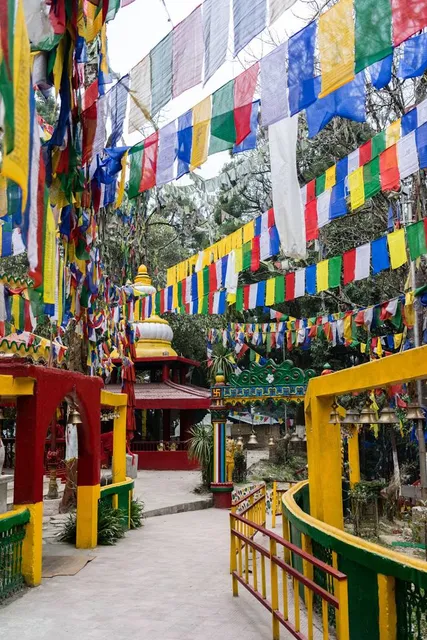 place image