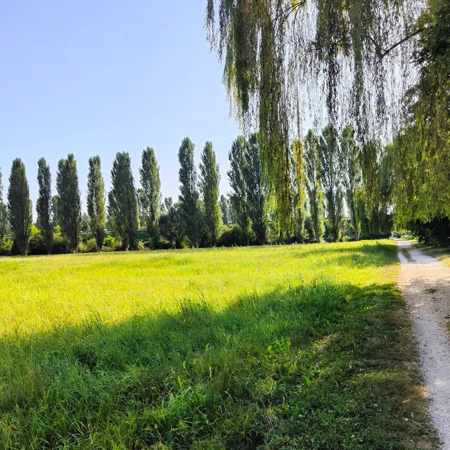 Parco del Seminario - Humus Park