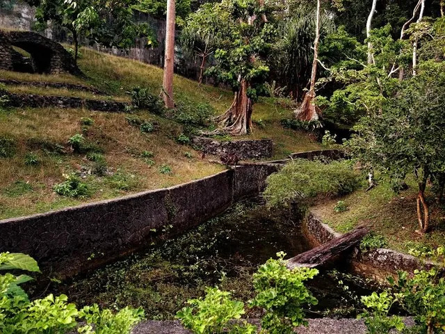 Lintienshan Forestry Culture Park