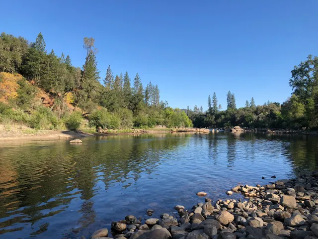 Dave Moore Nature Area
