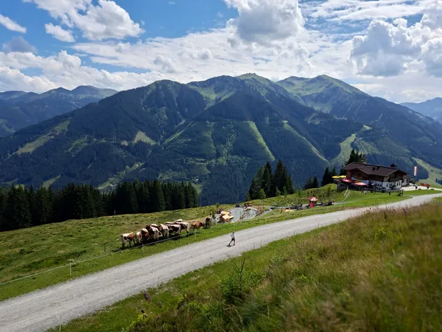 Montelino's Wasserspielplatz