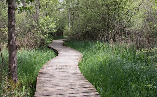 Promenade des Rinceaux