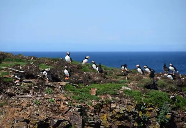 place image