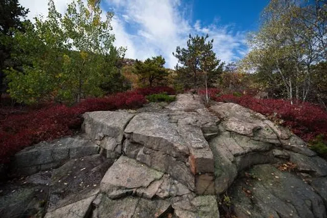 Ellsworth Rock Gardens