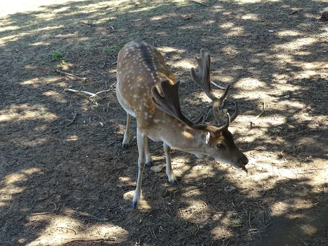 Le Thot - Centre d'Interpretation de la Prehistoire