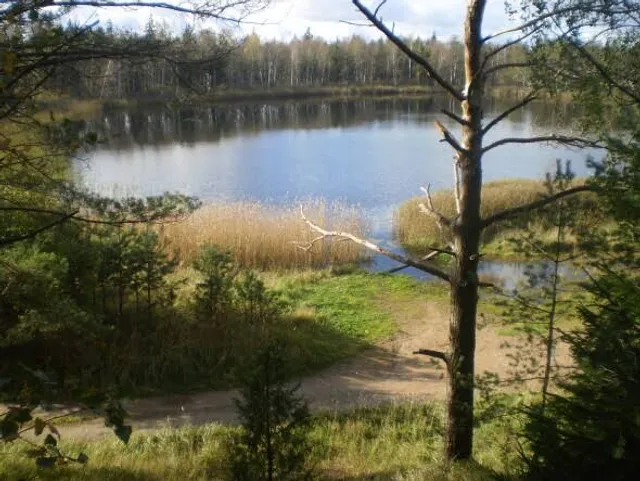 Pannjärv