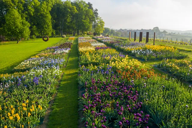 Château de Vullierens -Jardins des Iris