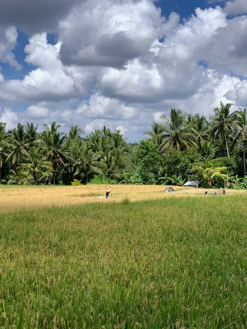 Sweet Orange Walk Trail