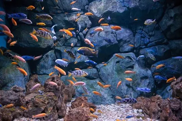 Океанариум РИО