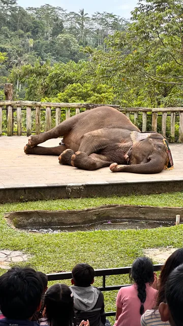 Taman Satwa Tabanan (Tasta Zoo)