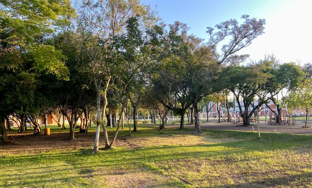 Parque Centenário