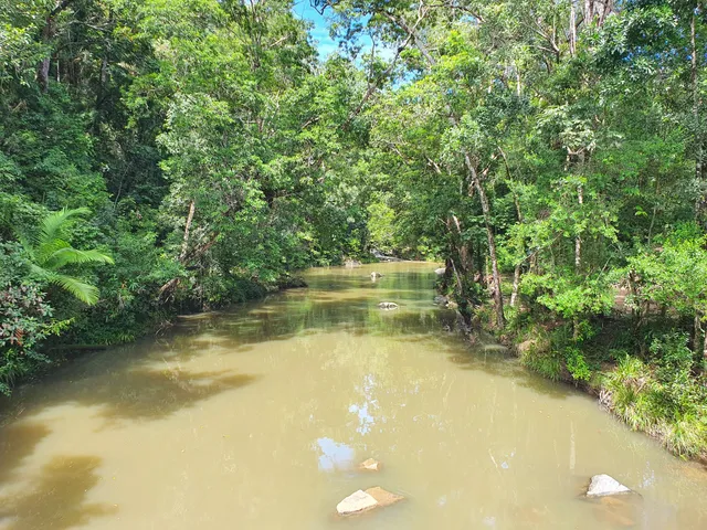 Cape Tribulation Bloomfield Rd