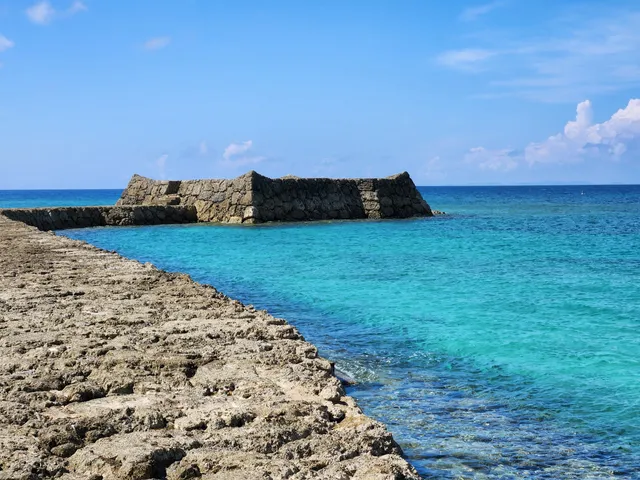 Mie Castle (restoration)