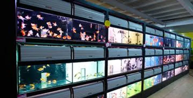 Qian Hu Aquarium And Pets (M) Sdn. Bhd.