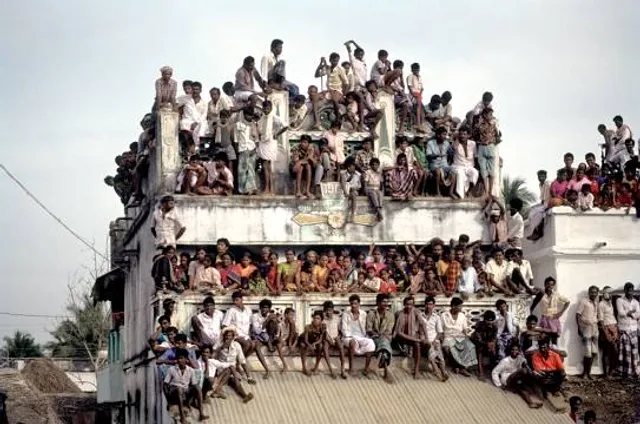 Jallikattu Bull Statue