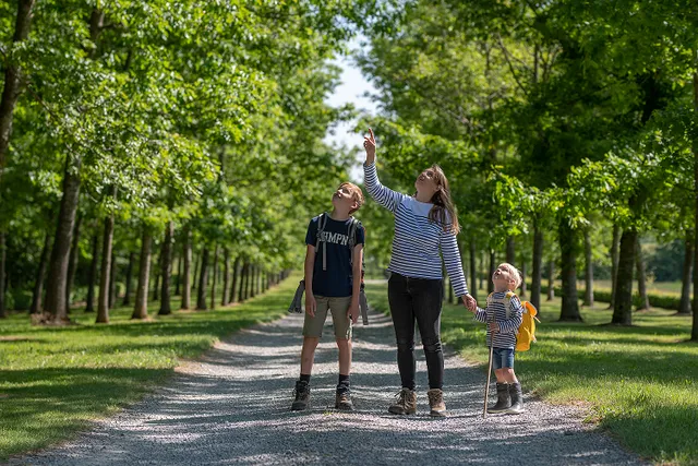 Mes Aventures d'Enchanteur