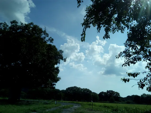 Kawakita Nature & Athletic Park