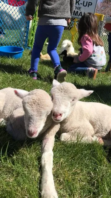 Jack's Petting & Pony Farm