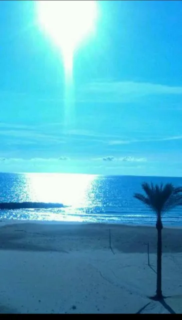 Riserva Naturale Speciale Biologica "Macchia Foresta Fiume Irminio"