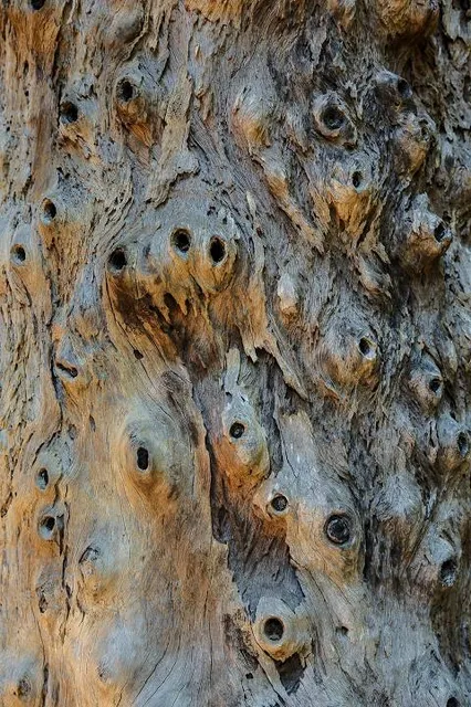 Le Sentier des Fées