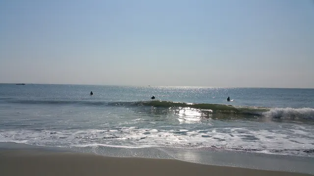 Komatsukaigan Ryokuchi Park