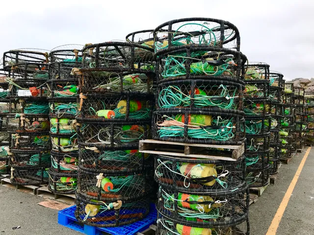 Crescent City Harbor District