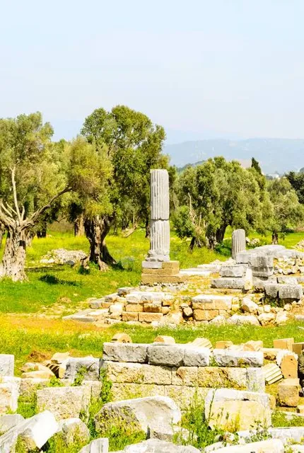 Ancient City of Teos