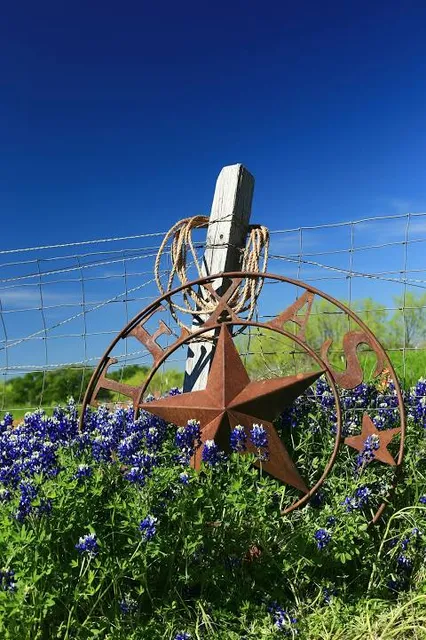 Ennis Bluebonnet Trails (an April driving route)