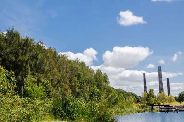 Sydney Park Wetlands