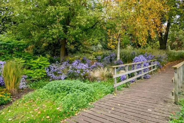 The Bressingham Gardens