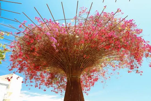 Robert Irwin's Central Garden