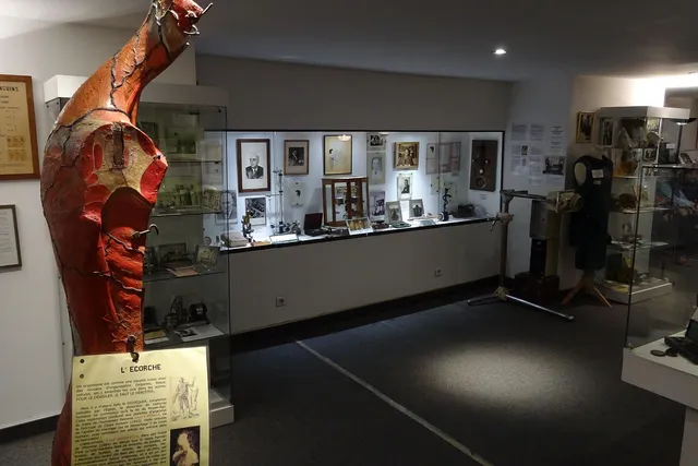 Musée de l'Histoire de la Médecine