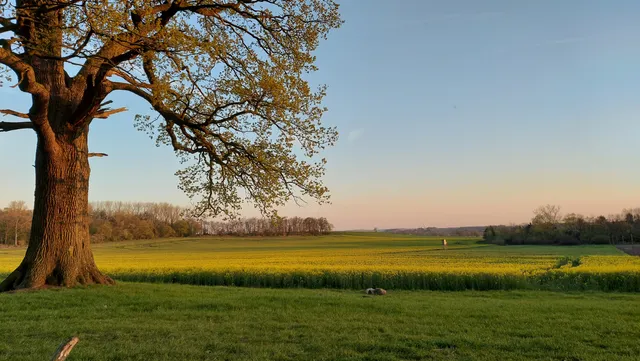 photo-3